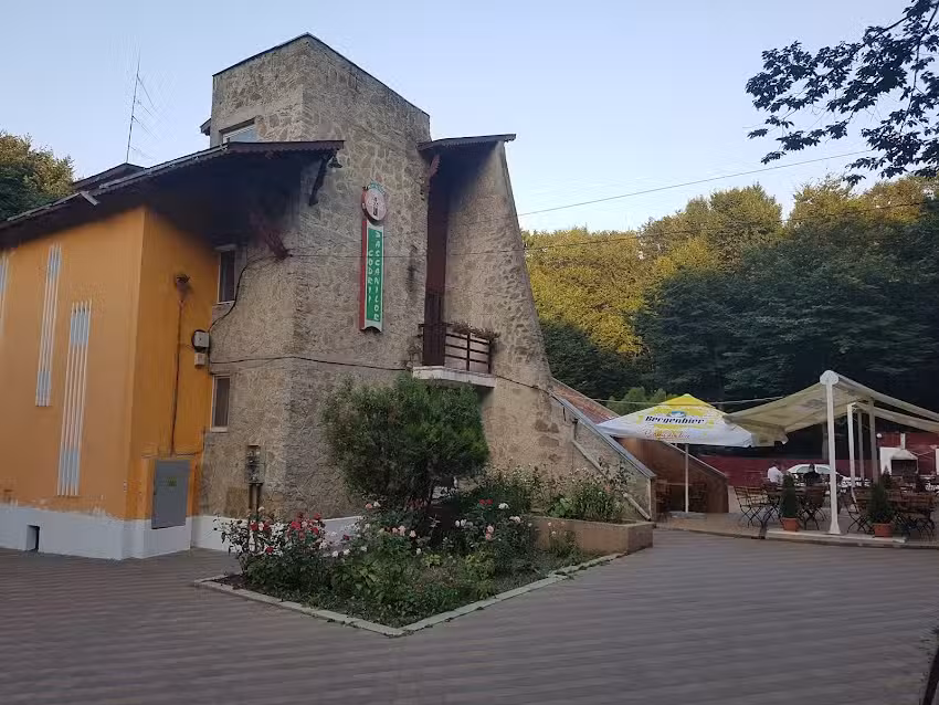 Cabana Codrii Paşcanilor