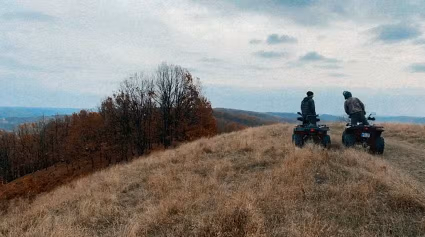 Cabana Colt Verde 1 LogCabin