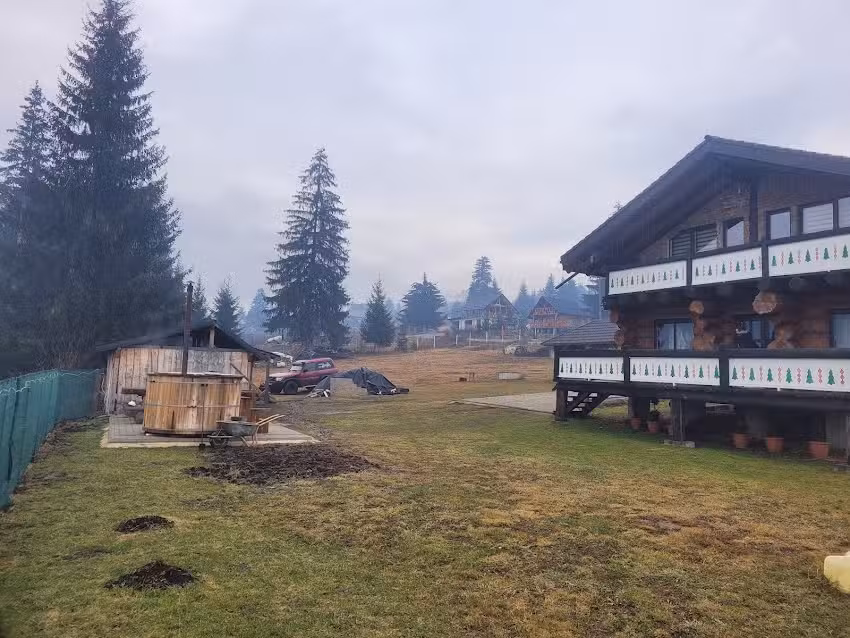 Cabana cu brăduți