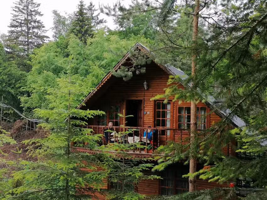 Cabana cu braduti
