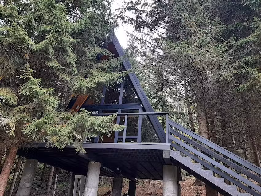 Cabana Cuib de Vultur