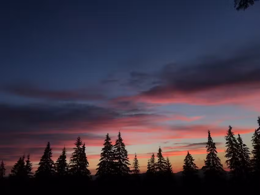 Cabana Daria-Mărișel