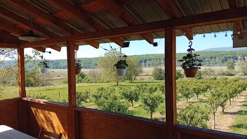 CABANA DAVID – REPEDEA