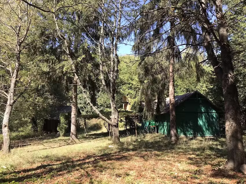 Cabana de Vânătoare Pleșa