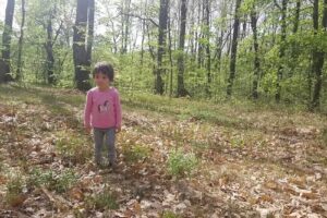 Cabana De Vanatoare Săcășeni