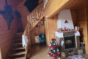 Cabana De Vis Muntele Rece