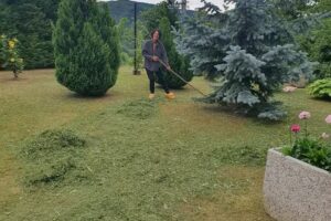 Cabana Dealul Boului