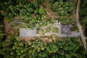 Cabana din padurea Belis si casuta din copac