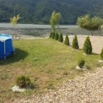 Cabana dintre Sălcii