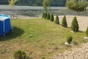 Cabana dintre Sălcii