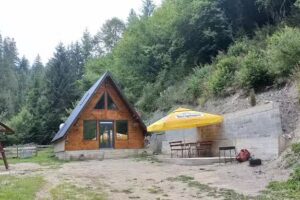 Cabana Doi Brazi A-Frame