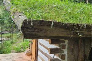 Cabana Doru’Bucovinei