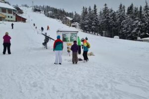 Cabana Floare De Colț Parâng