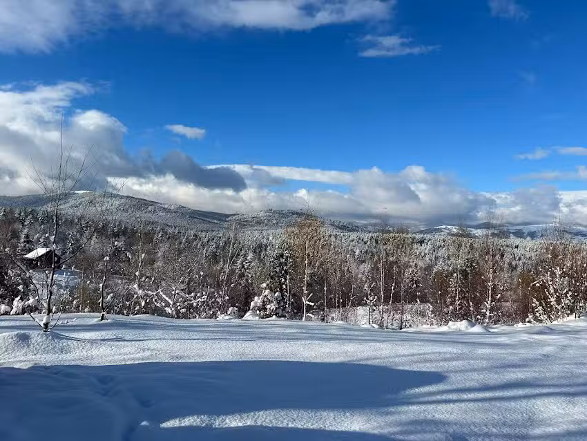 Cabana Foxes’ Shelter din Apuseni