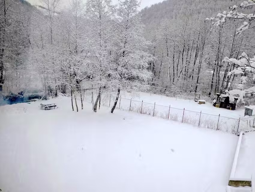 Cabana Frasini