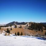 Cabana Glasul Cerbului