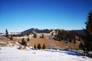 Cabana Glasul Cerbului