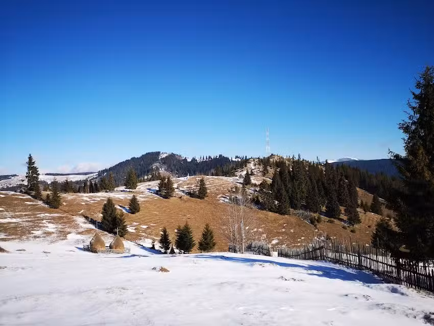 Cabana Glasul Cerbului