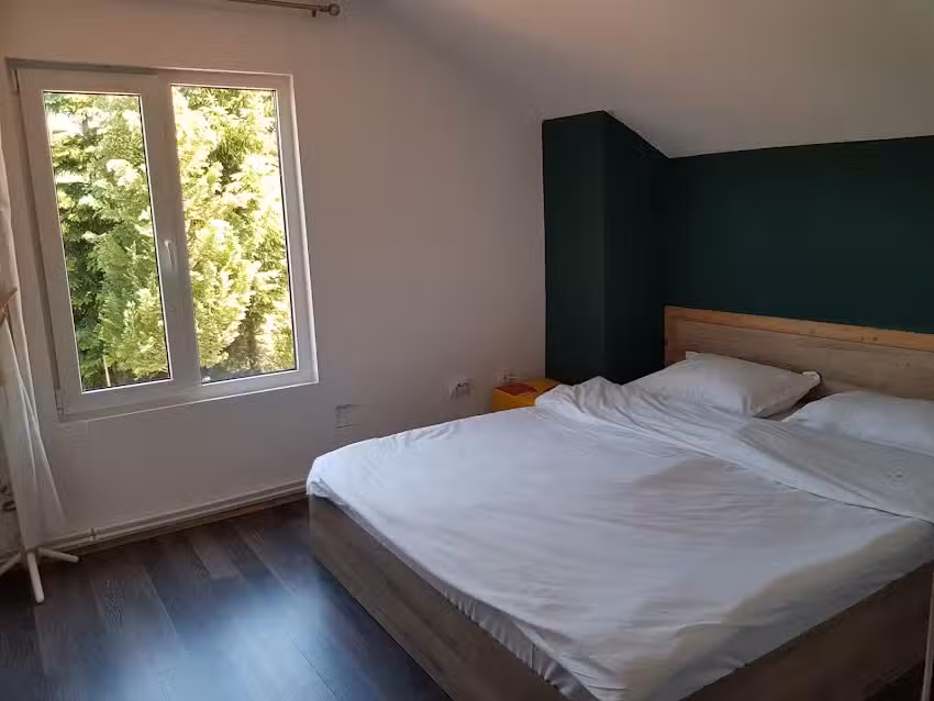 Cabana Goia Paltinei