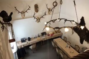 Cabana Gura Toplitei