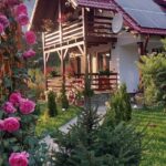 Cabana Haiducului Zarnesti