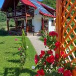 Cabana Haiducului Zarnesti