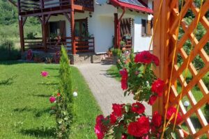 Cabana Haiducului Zarnesti