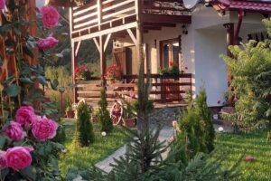 Cabana Haiducului Zarnesti