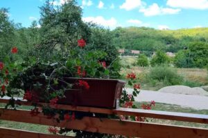 Cabana Happy Moments