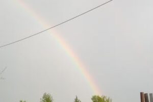 Cabana Horia, Comănești