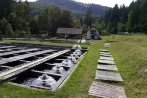 Cabana Înțărcătoarea, Mănăstirea Cașin