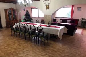 Cabana Iris Colibita