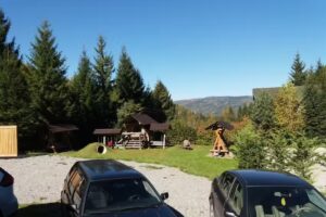 Cabana Izvorul Dragos TOMSON