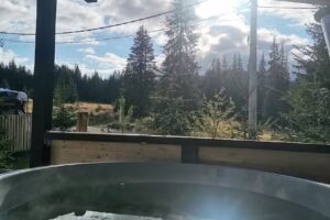 Cabana Izvorul Prigoanei – Sureanu