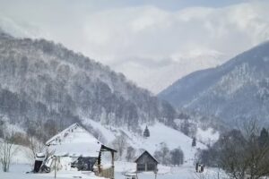 Cabana La Nicu Venger