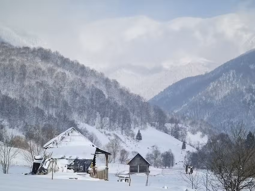 Cabana La Nicu Venger