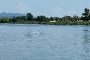 Cabana Lac Apa Stefania