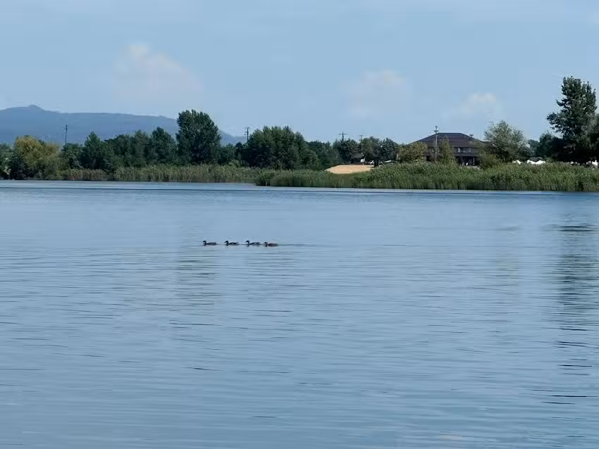 Cabana Lac Apa Stefania