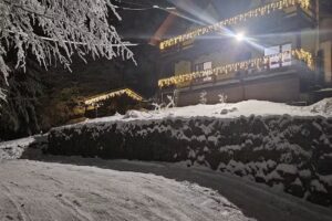 Cabana „Langa Brad”