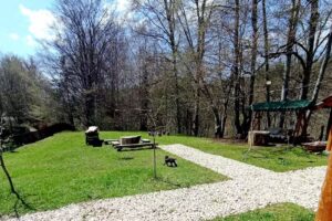 Cabana Liliana Valea Doftanei