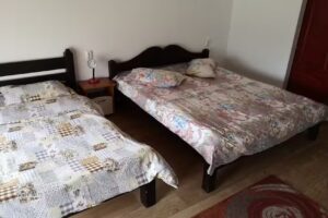 CABANA MAGURA PUNCT GASTRONOMIC LOCAL