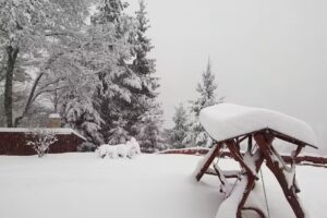 Cabana Magura Zimbrilor