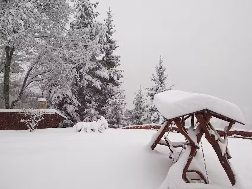 Cabana Magura Zimbrilor