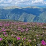 Cabana Maria-Petrimanu