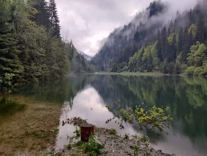 Cabana Maria-Petrimanu