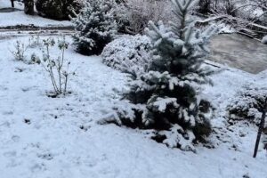 CABANA MARY PLAST 4*