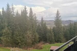 Cabana Militara Muntele Băișorii