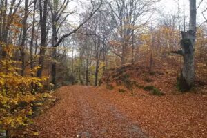 Cabana Mircea Soanca