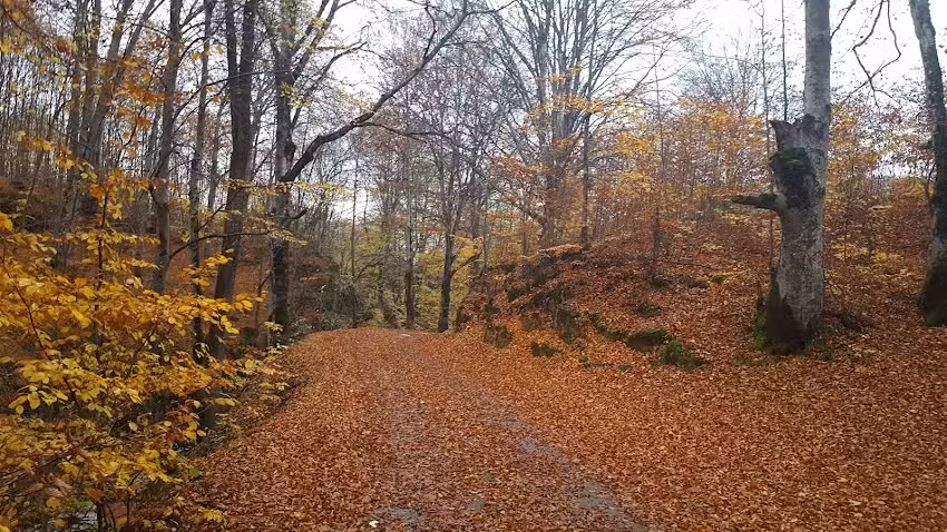 Cabana Mircea Soanca