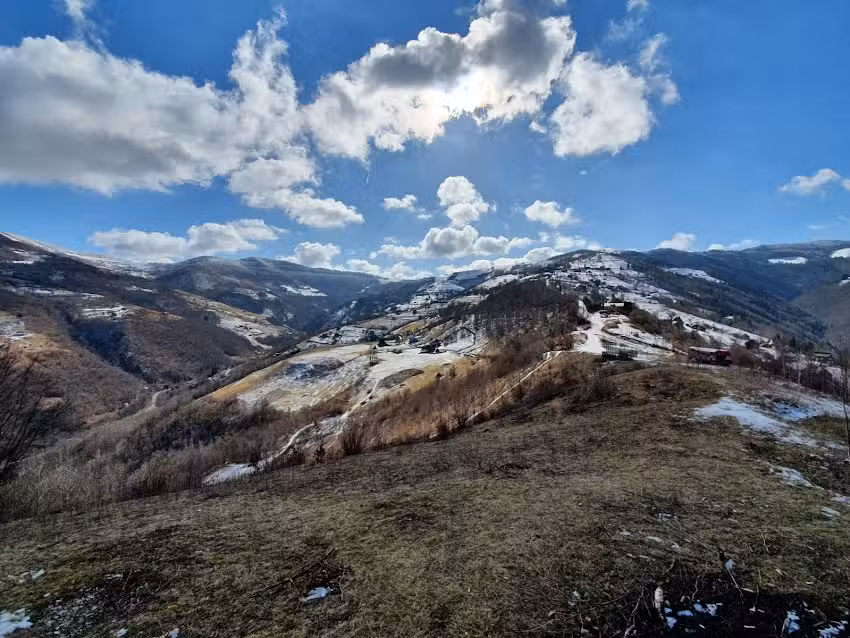 Cabana Muntele Paltinei